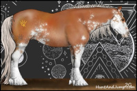 Horse Color:Silver Bay Sabino Rabicano 