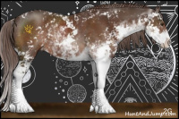 Horse Color:Liver Chestnut Sabino Rabicano 