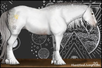 Horse Color:Gray Liver Chestnut Sabino Tobiano Rabicano 