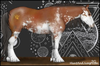 Horse Color:Bay Sabino Rabicano 