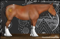 Horse Color:Bay Sabino Tobiano