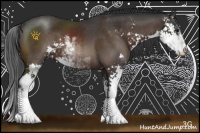 Horse Color:Brown Sabino 