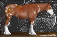 Horse Color:Brown Sabino 