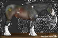 Horse Color:Brown Sabino 