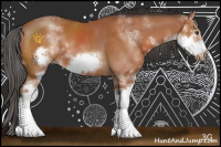 Horse Color:Bay Sabino Frame 