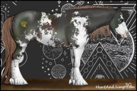 Horse Color:Liver Chestnut Sabino 