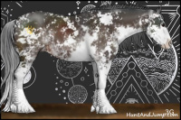 Horse Color:Brown Sabino 