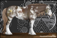 Horse Color:Liver Chestnut Sabino