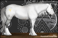 Horse Color:Gray Liver Chestnut Sabino Tobiano 