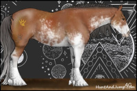 Horse Color:Bay Sabino 