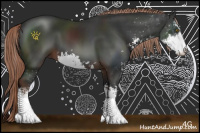 Horse Color:Liver Chestnut Sabino 