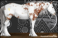 Horse Color:Bay Sabino Splash 