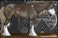 Horse Color:Liver Chestnut Sabino 