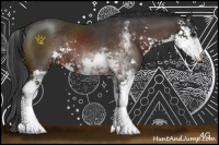 Horse Color:Brown Sabino Rabicano 