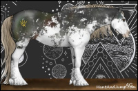 Horse Color:Liver Chestnut Sabino 