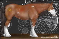 Horse Color:Bay Sabino 