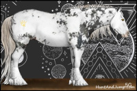Horse Color:Liver Chestnut Sabino Splash