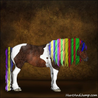 Horse Color:Painted Bay Ice Tobiano Rabicano 