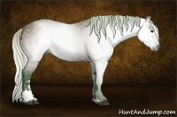 Horse Color:Gray Watercolor Silver Bay Ice Sabino 