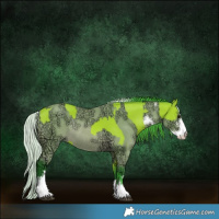 Horse Color:Watercolor Bay  and Watercolor Silver Bay Chinchilla Ice Sabino Rabicano 