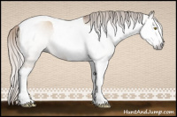 Horse Color:Gray Silver Sable Champagne Dun Splash Tobiano 