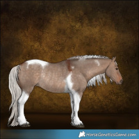 Horse Color:Silver Brown Dun Tobiano Rabicano 
