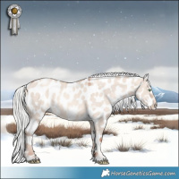 Horse Color:White Spotted Silver Sable Champagne Dun Mushroom Frame Appaloosa 