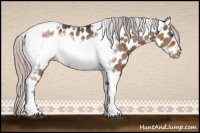 Horse Color:Silver Brown Dun Tobiano Frame Appaloosa Rabicano 