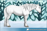 Horse Color:Gray Silver Bay Dun Tobiano Frame 