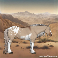 Horse Color:Silver Brown Dun Tobiano Frame Appaloosa 