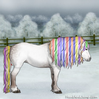 Horse Color:Gray Painted Chestnut Sabino Rabicano 