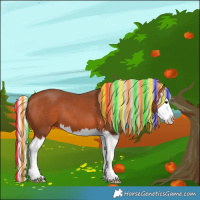 Horse Color:Painted Silver Bay Sabino Splash 