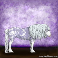 Horse Color:Watercolor Silver Bay Sabino Appaloosa Rabicano 
