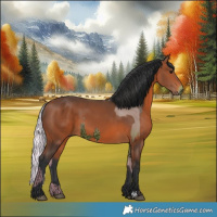 Horse Color:Watercolor Silver Bay Ice  and Painted Bay 