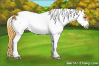 Horse Color:Watercolor Liver Chestnut Ice Sabino Frame Rabicano 