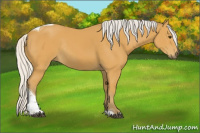 Horse Color:Silver Buckskin Tobiano Rabicano 
