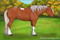 Horse Color:Silver Bay Tobiano Rabicano 