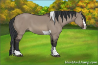Horse Color:Brown Dun Splash Tobiano Rabicano 
