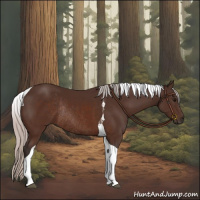 Horse Color:Silver Brown Tobiano Rabicano 