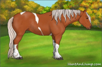 Horse Color:Silver Bay Tobiano Rabicano 
