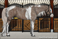 Horse Color:Silver Blue Roan Splash Tobiano  and Silver Blue Roan Splash Tobiano 