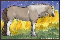 Horse Color:White Spotted Liver Red Dun Roan 