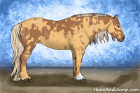 Horse Color:Chestnut  and Palomino 