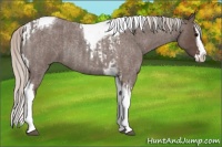 Horse Color:Silver Blue Roan Splash Tobiano  and Silver Blue Roan Splash Tobiano 