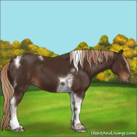 Horse Color:Liver Chestnut Tobiano 