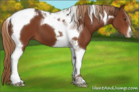 Horse Color:Liver Chestnut Tobiano 