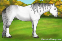 Horse Color:Gray Brown Tobiano Rabicano 