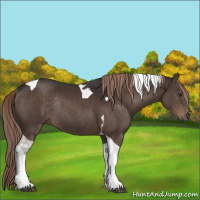 Horse Color:Liver Chestnut Tobiano Rabicano 
