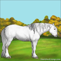 Horse Color:Gray Liver Chestnut Tobiano Rabicano
