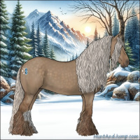 Horse Color:Silver Grullo 